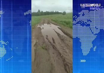 Житель Орловщины встал на колени с мольбой о нормальной дороге. Экспресс - новости.
