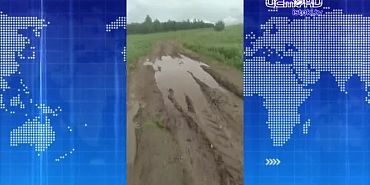Житель Орловщины встал на колени с мольбой о нормальной дороге. Экспресс - новости.