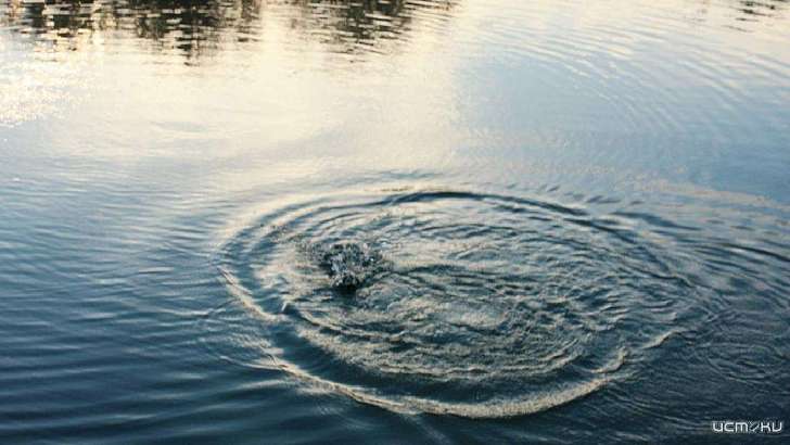 На Орловщине родителям утонувшего в ручье мальчика грозит уголовное дело