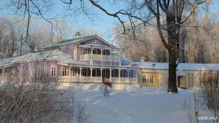 В орловском музее-заповеднике пройдёт новогодний марафон