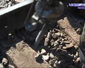 Не останавливаться ни на минуту! Ж/д перевозки — сфера, на которую почти не повлиял коронавирус