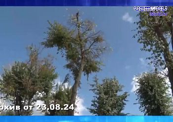 На улице Игнатова стартовали ремонтные работы. Экспресс - новости.