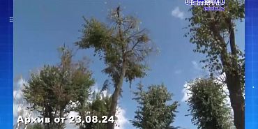 На улице Игнатова стартовали ремонтные работы. Экспресс - новости.