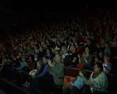 Крепче за баранку держись, Степан. В Орел пожаловал медведь, у которого есть водительские права