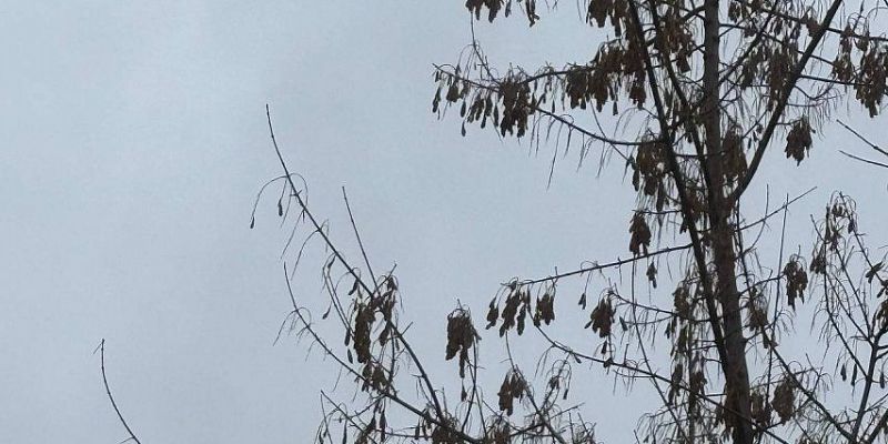 На Орловщине объявлена авиационная опасность. Будьте бдительны! UPD: отмена в 14:43