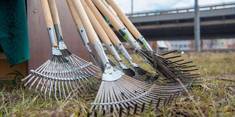 Орловчанам предлагают сделать уборку возле своих домов в рамках экомарафона