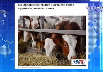 Экспресс - новости: стало известно, кто споет орловчанам в День города