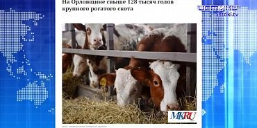 Экспресс - новости: стало известно, кто споет орловчанам в День города