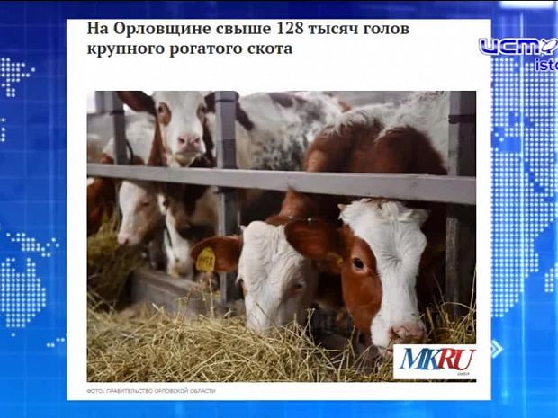 Экспресс - новости: стало известно, кто споет орловчанам в День города