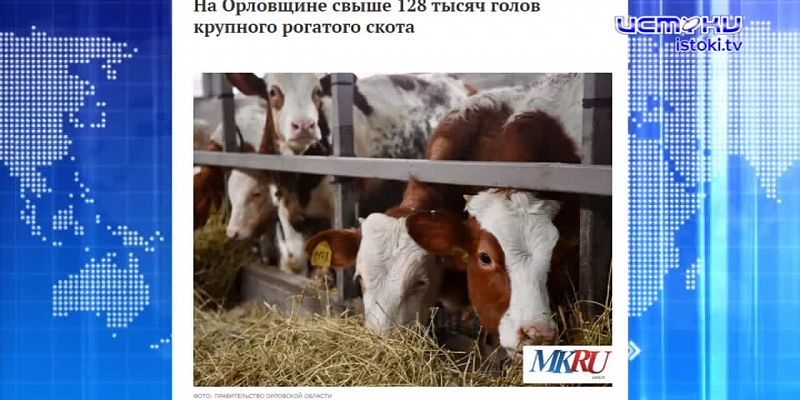 Экспресс - новости: стало известно, кто споет орловчанам в День города