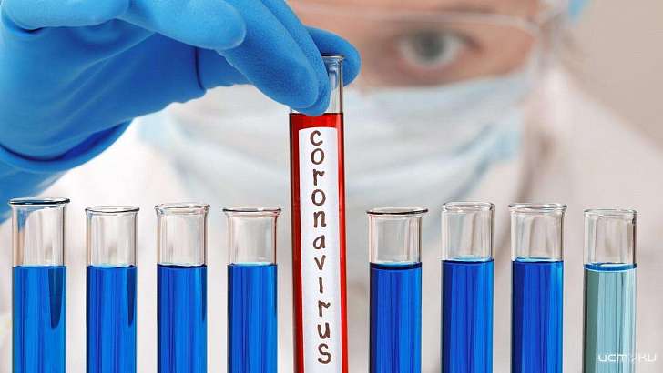 В Орле приостановили добровольное тестирование на коронавирус