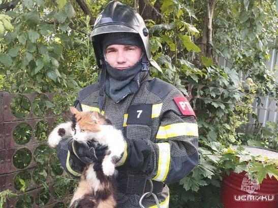 Орловские спасатели рассказали о помощи животным