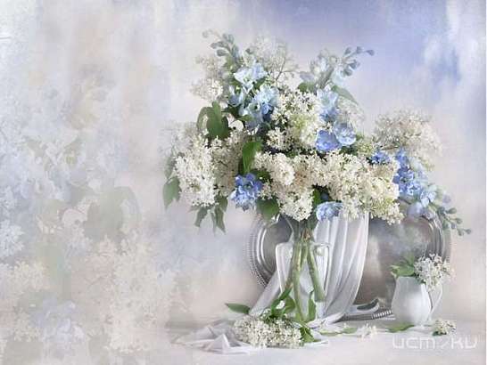 Натюрморты Надежды Косенко