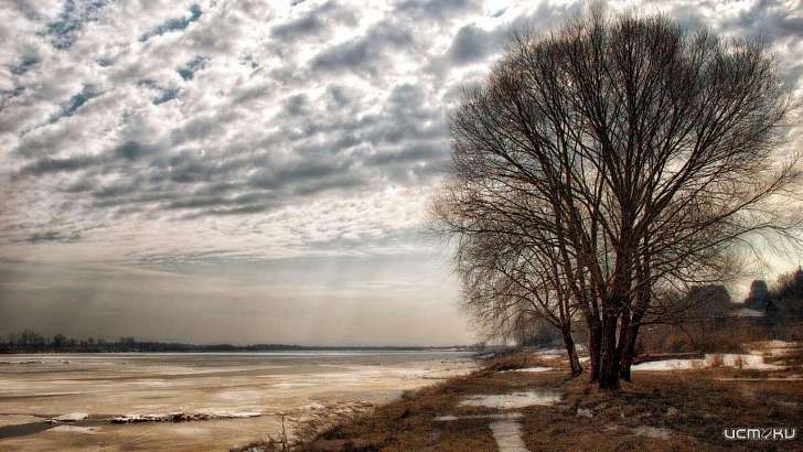 Хмурое небо и небольшой снег ждут орловчан сегодня