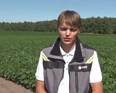 Клубы и секции самбо появятся во всех районах Орловской области