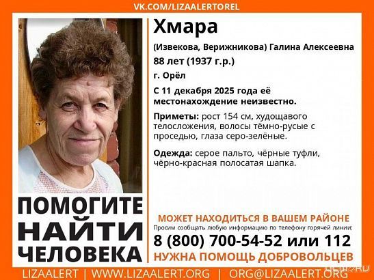 Орловчан просят помочь в поиске 88-летней женщины