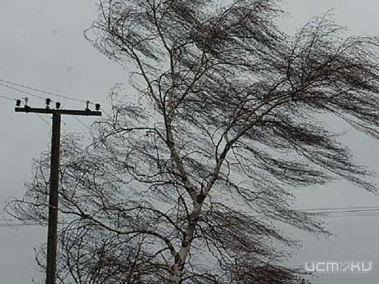 Погода не шепчет. На Орловщину надвигается сильный ветер