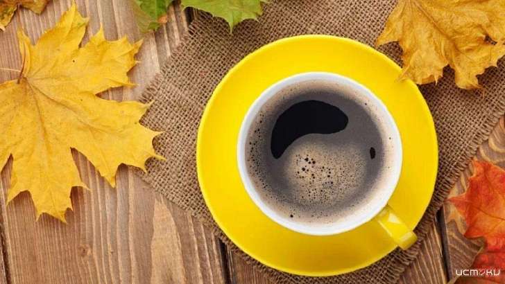 Еще неделя тепла: погода в Орле на 21 октября