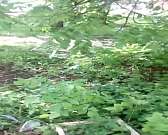 Громкое происшествие в Северном районе Орла: в доме на ул. Бурова выбило стекла Громкое происшествие в Северном районе Орла: в доме на ул. Бурова выбило стекла