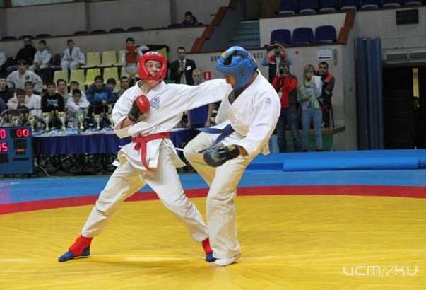 В Орле пройдет Фестиваль единоборств