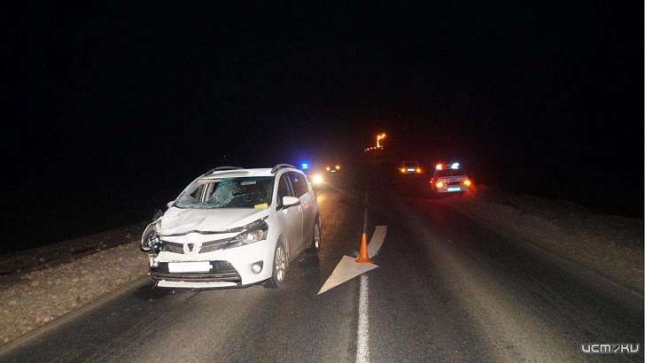 В Орловской области под колесами авто погиб шедший по дороге мужчина