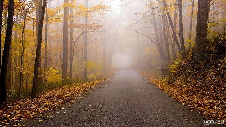Осень не повод для депрессий: советы психотерапевта — в прямом эфире Ретро FM