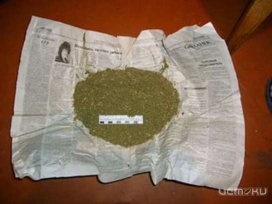 27-летний орловчанин подозревается в незаконной транспортировке наркотиков