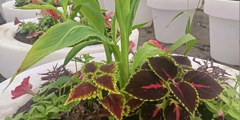 Почти 700 кашпо и более 200 кадок с цветами украсят Ленинский мост этой весной