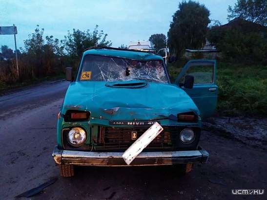 На орловской дороге столкнулись «Нива» и гужевая повозка