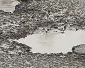 Разбитые дороги, письма, которые развозят на лошадях, и подготовка к посевной