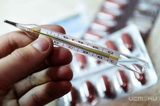 Число заболевших гриппом в области снижается Число заболевших гриппом в области снижается