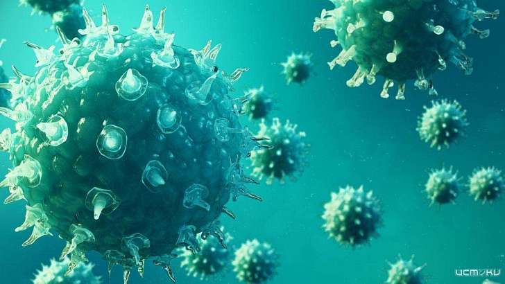 Заражению COVID-19 чаще подвержены орловчане среднего возраста