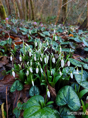 Аномальное тепло в Орловской области удивляет жителей 