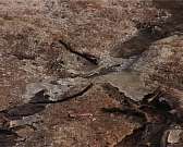 Устно погода