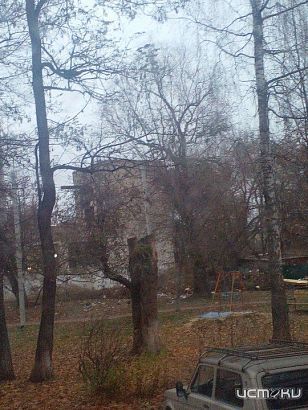 "Мусор не вывозится. Зато сюжет о проведении уроков по экологии компании ,,Зеленая роща"для учеников в 34 школе по Орловским Вестям показывали"