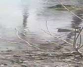 Орловчанин за видео с лужей-озером стал победителем нашего конкурса «Народный корреспондент»