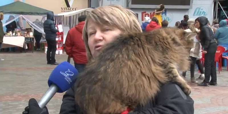 В Орле прошла необычная выставка