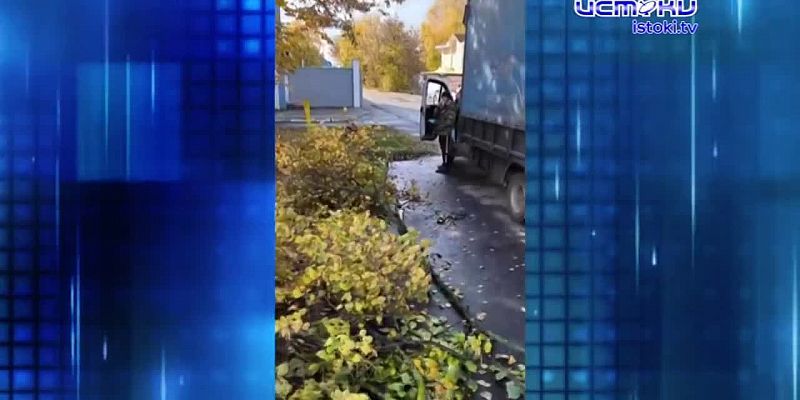 Орловчане стали реже болеть ОРВИ. Экспресс - новости.