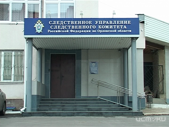 Самые громкие дела 2013-го. Следственный комитет подвел итоги года 