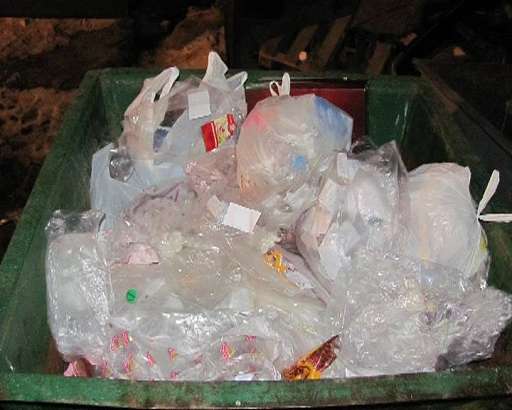 Новорожденный выброшен в мусорный контейнер