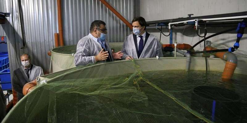 Почти миллиард рублей вложат на Орловщине в разведение рыбы