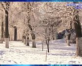 Экспресс - новости. Новый ФАП.