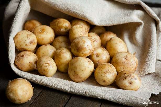 Орловчанам расскажут, как сохранить картофель на протяжении всей зимы