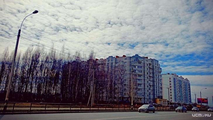 Сегодня в Орле воздух прогреется до +12 °C 