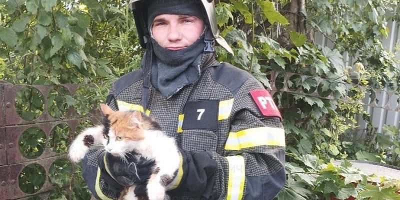 Орловские спасатели рассказали о помощи животным