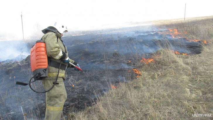 За костры в лесах орловчане заплатили уже более 2 млн рублей