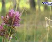 Житель Ливен устроил потасовку в полиции, а после вспышки коронавируса в доме ветеранов возбудили уголовное дело