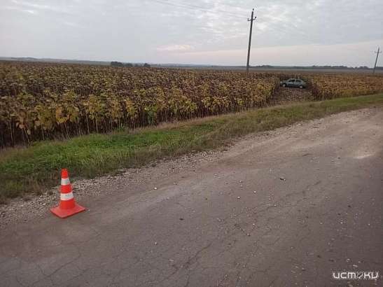 В Орловской области легковушка слетела с дороги и оказалась в поле с подсолнухами