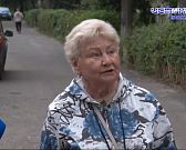 Нечто похожее на благоустройство