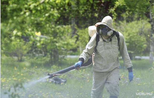 В Орле для обработки от клещей на время закроют Парк Победы